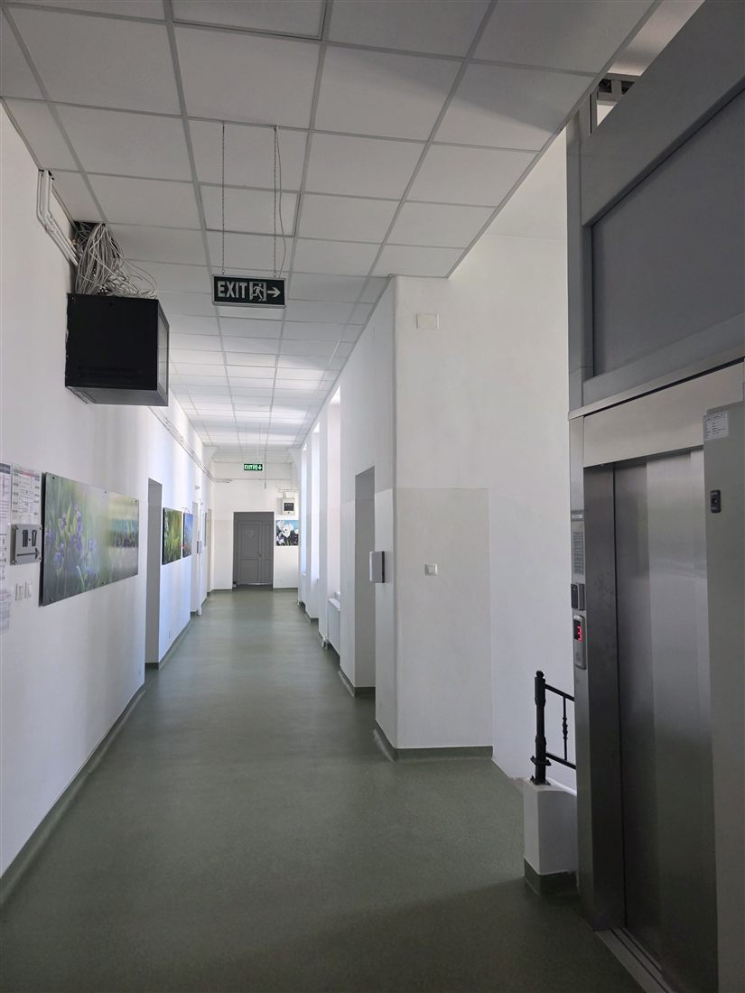The ward, modernized to European standards