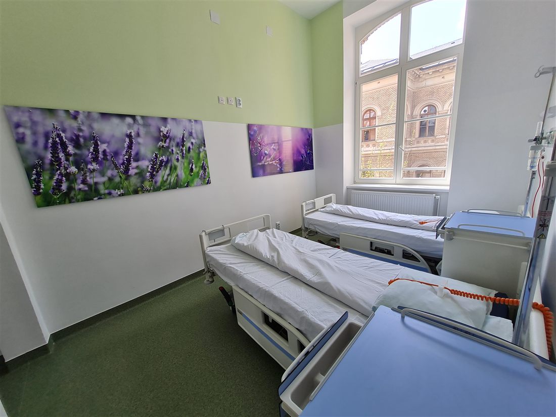 Inpatient ward room